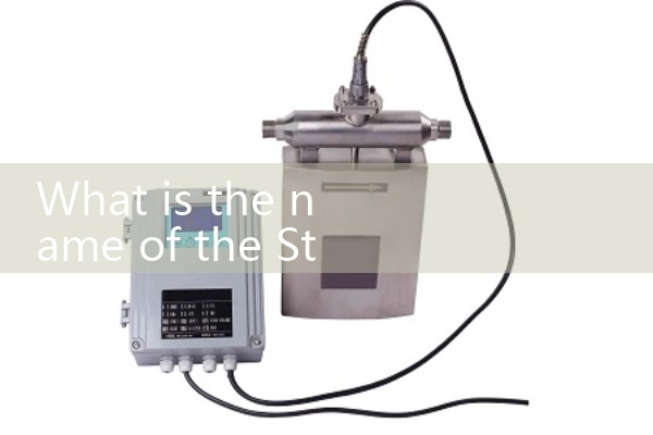 steam meter